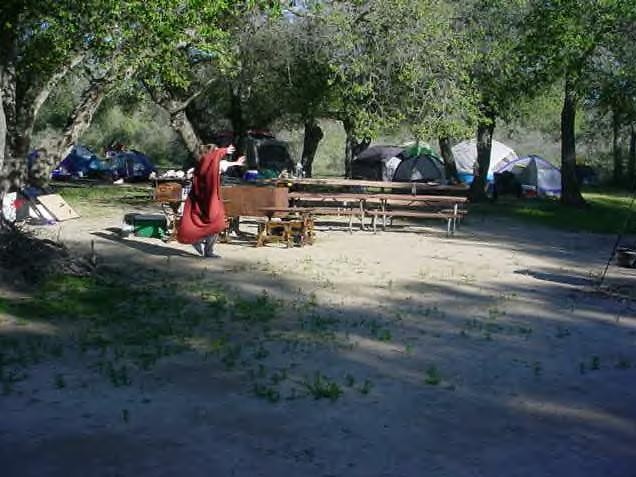 Terre Neuve Images